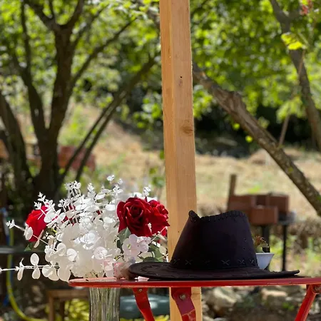 Xhagolands Affittacamere *